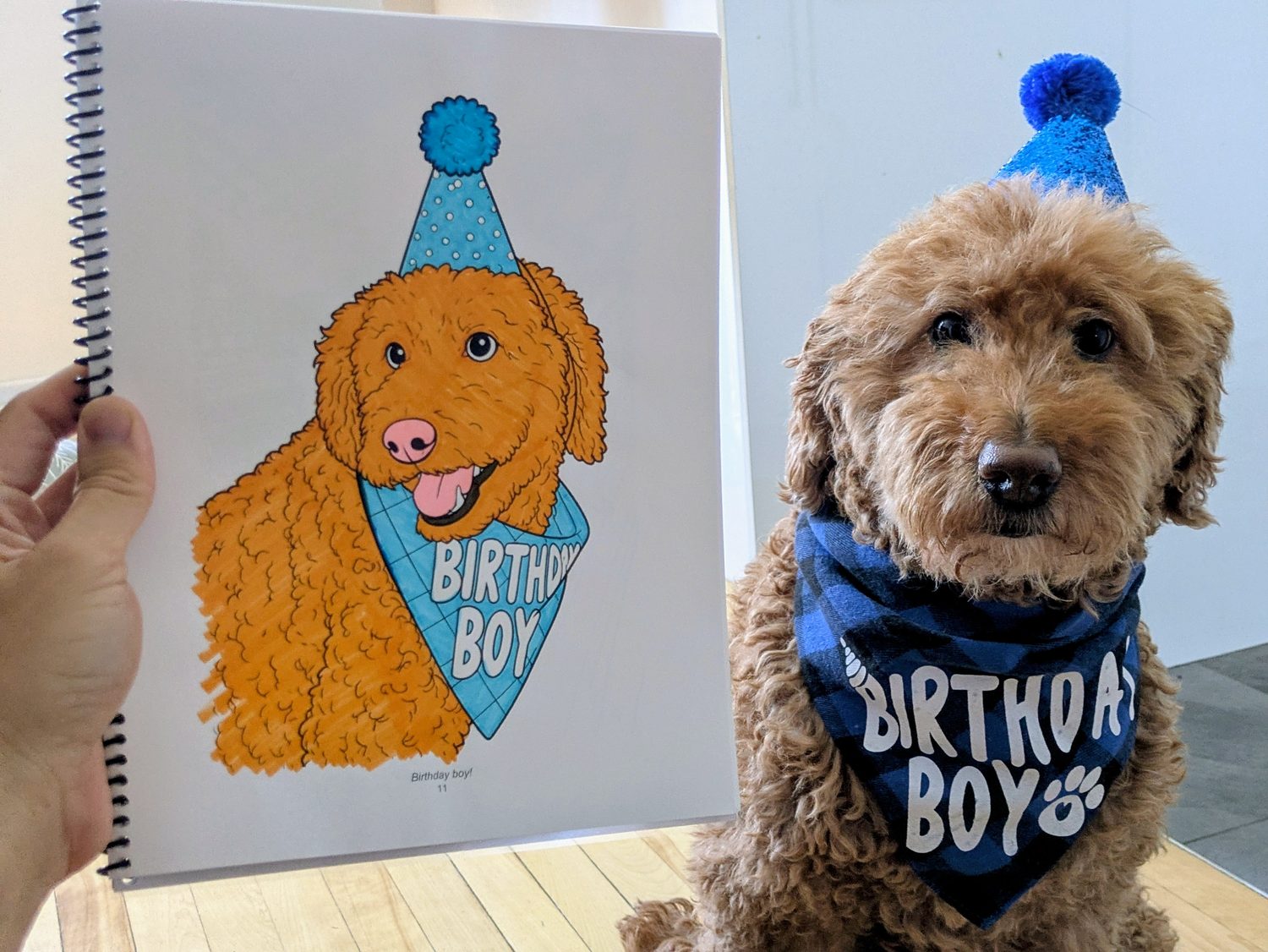 A printed coloring page of Henri as a birthday boy, held up next to the real Henri — both in matching blue party hats and bandanas